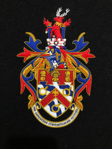 Service OEM de haute qualité, faible MOQ, badges brodés à la main, nouvelle arrivée modèle 2026, conception de logo personnalisée, couleurs personnalisées, sécurité du tissu - Product Image 5