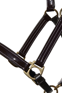 Premium Quality Italian Patent <b>Leather</b> <b>Headcollar</b> Anatomic Horse Halter Fancy Triple Stitching Durable Horse Racing Equipment - Product Image 6