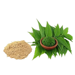 Poudre de Neem Premium, poudre naturelle de feuilles d'herbes pour les soins de la peau, les soins capillaires et l'exportation en gros - Product Image 2