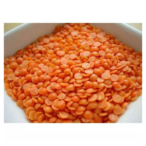 Lentilles Rouges Naturelles Séchées – Produit en Gros pour Commandes en Vrac – Fournisseur en Gros – Stock Disponible - Product Image 5