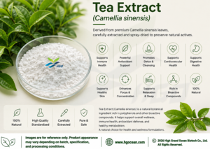 โรงงาน HGO จัดจำหน่ายสารสกัดชาบริสุทธิ์จากธรรมชาติ (Camellia sinensis) เกรดอาหาร L-Theanine 65% สารสกัดมาตรฐาน - Product Image 2