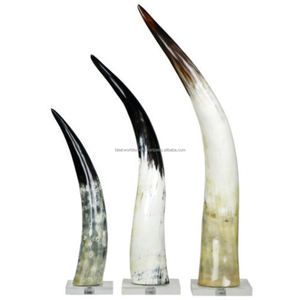 Cuerno de buey africano ecológico de alta calidad, cuerno de búfalo Real para boda, decoración de Navidad, innovador estilo siguiente India FWE - Product Image 6