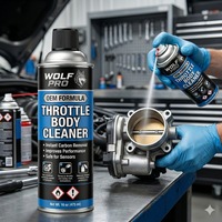 Nettoyant pour boîtier papillon et admission, pulvérisateur pour boîtier papillon, nettoyant pour carburateur, nettoyant pour dépôts de carbone du moteur, performance améliorée