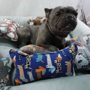 Yommy Pet Mystery Box: Regalo a Sorpresa per Animali Domestici - Accessorio per Cuccia con Comodo Cuscino - Product Image 4