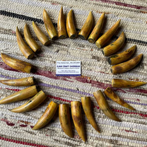 Cuerno de Búfalo Natural Ecológico, Pulido, con Punta Quemada, Rústico, para el Año Nuevo Chino, de Alta Calidad - Product Image 1