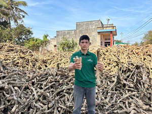 Jouet à mâcher en bois de café naturel pour chiens, offrant un entraînement interactif, un nettoyage durable des dents, et un jeu écologique anti-ennui - Product Image 6