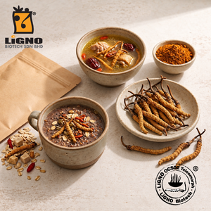 Poudre brute d'Ophiocordyceps Sinensis LiGNO OCS02, mélange pour latte de petit-déjeuner, mélange actif, certifié Halal et Casher, qualité alimentaire santé - Product Image 1
