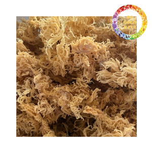 Musgo Marino Seco para Postres Veganos en Gel, Smoothies y Jugos, Suministro al por Mayor OEM, Fábrica de Vietnam - Product Image 1
