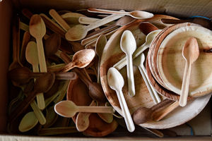 Vaisselle en feuilles de palmier naturelles, assiettes et bols jetables, solution durable pour la restauration, approvisionnement en gros, Vietnam - Product Image 6