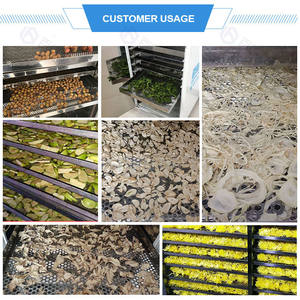 2024 nouvelle technologie Machine de séchage de thé Machine de séchage de feuilles de thé Machine de séchage de thé noir - Product Image 6