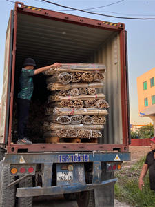 Estaca de Bambú Natural de 1m de Longitud, Estacas de Bambú Duraderas para Soporte de Plantas, Agricultura y Plantas Trepadoras - Product Image 5