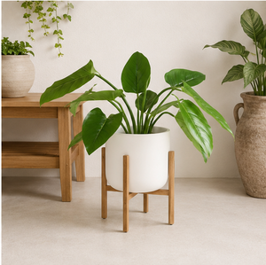 Support de plantes en bois moderne réglable, support de pot de fleurs en bois écologique pour la décoration intérieure du salon - Product Image 2