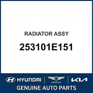 Radiadores Nuevos Accent 253101E151 - Product Image 1
