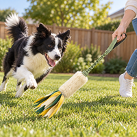 Jouet interactif pour chien Zheng Xin : Corde durable pour le tirage à la main et balle élastique pour le jeu de mâcher