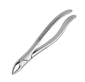 Forceps d'extraction dentaire en acier inoxydable avec poignée moletée, instrument chirurgical manuel de classe I - Product Image 6
