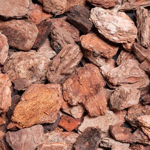 Hot bán Pine Bark tiền phạt cho phong lan phát triển & bầu hỗn hợp hỗn hợp, tăng cường đất thoát nước và thúc đẩy Superior gốc sục khí. - Product Image 3