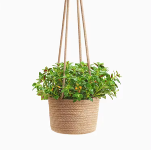 Multipurpose Jute <b>Tree</b> Pot Cover – Eco Friendly <b>Planter</b> <b>for</b> Home, Office, Balcony and Garden Decoration - Product Image 1
