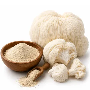 Poudre de champignon crinière de lion de haute qualité en vrac, extrait biologique d'Hericium erinaceus, supplément nootropique pour la santé cérébrale, la mémoire et la concentration - Product Image 1
