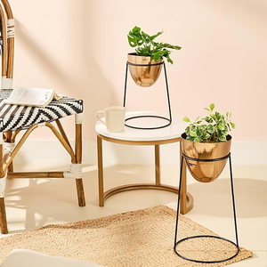 Stylish <b>Iron</b> Planter with Planter Holder Durable <b>Lightweight</b> Set of 2 for Indoor Outdoor Garden Office Home Use - Product Image 2