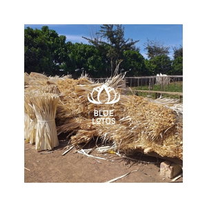 FAVORIS DES CLIENTS : Feuilles de palmier Corypha Lecomtei du Vietnam, matière première pour l'artisanat tissé et la production d'emballages décoratifs - Product Image 1