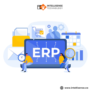 Solutions logicielles efficaces pour les entreprises via le développement d'applications logicielles d'entreprise personnalisées et les modèles SaaS, développement dynamique de logiciels CRM - Product Image 3