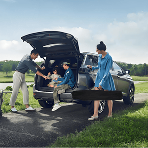 Lettino da Campeggio Pieghevole Portatile Nero Militare con Borsa per il Trasporto, Arredamento da Campeggio - Product Image 5