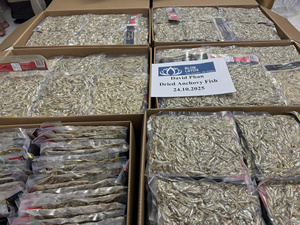 Anchoas secas más vendidas para sopa, caldo, condimento, ingrediente de mariscos utilizado para la base de sopa de mariscos, cocina vietnamita - Product Image 2