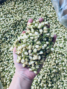 ชาดอกมะลิอบแห้งออร์แกนิค ใบชาแบบหลวม ผลิตจากเวียดนาม อายุการเก็บรักษา 18 เดือน 99GD Kelly 0084835152509 ราคาขายส่ง - Product Image 6