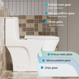 WC monoblocco 1.1/1.60 GPF con doppio scarico, tappo serbatoio con pulsante, scarico a pavimento (S-Trap), a risparmio idrico, allungato, altezza comfort, chiusura ammortizzata C - Product Image 6