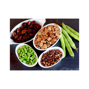 New crop dry Fava <b>bean</b>/ Fava <b>bean</b> /broad <b>bean</b> in shell for feeding fish , fish food - Product Image 6