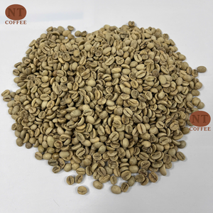 Venta al por Mayor de Granos de Café Verde Arábica de Vietnam, Café Crudo Especial, OEM, ODM, Empaque Personalizado, Suministro Directo - Product Image 1