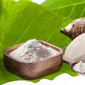 Poudre de racine de canna de Vietnam en vrac – Amidon de haute pureté pour l'industrie alimentaire et des boissons - Product Image 1