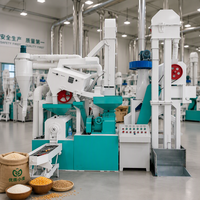 Usine de décorticage de riz complète 15-100TPD / Ligne industrielle de traitement du paddy / Décortiqueuse de riz automatique haute capacité