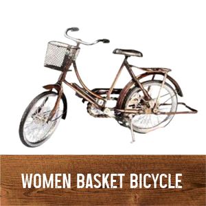 Bicicleta de Cesta Clásica en Miniatura para Mujer, Modelo de Metal Decorativo, Bicicleta Decorativa de Hierro Clásica Vintage Hecha a Mano - Product Image 3