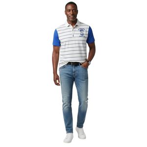 Camiseta Polo Phi Beta Sigma, Azul y Blanca a Rayas, Camisa de Fraternidad Griega, Camiseta Polo Informal, Elegante y Transpirable de Manga Corta para Hombre - Product Image 6