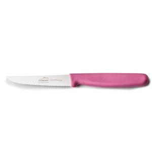 Coltello da tavola Lacor Etern Magenta in acciaio inossidabile 10 cm per tagliare frutta e verdura - Product Image 1