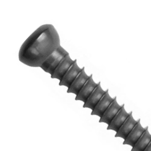 OFERTA ESPECIAL Implantes Veterinarios de Alta Calidad: Placa Ósea Ortopédica para Curvación con Tornillo Cortical 3.5 de Acero, Reutilizables Manualmente - Product Image 3