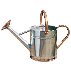 Precio bajo decoración del hogar Metal mango de cobre regadera diseño personalizado mayorista exportador decoración de jardín regadera - Product Image 1