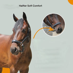 Cabestros de polo de ajuste cómodo con diseño ajustable para entrenamiento, manejo, control estable y uso diario en el cuidado ecuestre. - Product Image 4