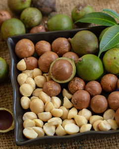 Nouvelles Noix de Macadamia Bio Torréfiées de Qualité Supérieure 2026, Séchées et Emballées Sous Vide, avec ou sans Coque, pour Usage Alimentaire, Prix de Gros - Product Image 2
