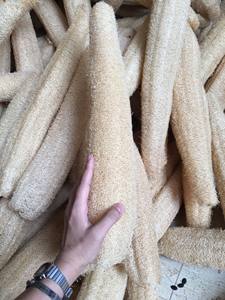 Luffa naturelle 40-45cm, cultivée en ferme au Vietnam, biologique, entière, grandes tailles, sans produits chimiques, pour le bain et la cuisine, luffa du Vietnam - Product Image 4