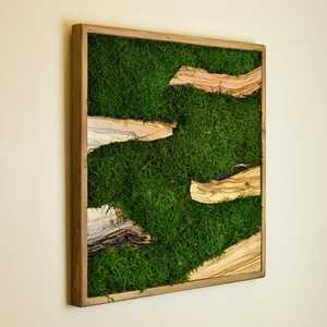 Arte de Pared 3D con Plantas Verdes y Musgo, Decoración Artística con Marco de Madera, Panel de Musgo Preservado para Decoración de Interiores de Oficina - Product Image 4