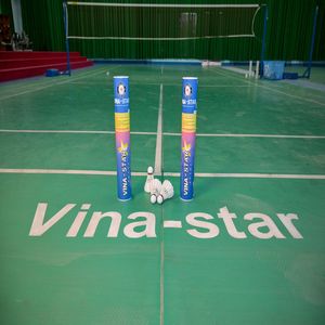 Volants de badminton Vina-Star en plumes d'oie, classe A, professionnels, lot de 12 en tube, haute durabilité, stabilité, entraînement sportif - Product Image 2
