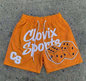 Custom Logo Heavy Weight Polyester Mesh Shorts Breathable Double <b>Layer</b> Mesh Short Wholesale Graphic Puff Print Streetwear Shorts - Product Image 5