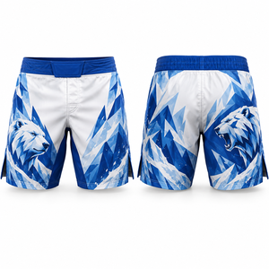 Shorts de MMA Sin Bolsillos, Directo de Fábrica, Opciones de Talla, Cierre Seguro, Diseño Personalizado, Ropa Deportiva, Elásticos en Cuatro Direcciones - Product Image 4
