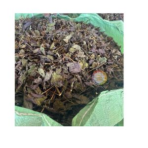 Hojas de Perilla Púrpura Secas al Aire Natural en Venta al Precio Más Bajo, Hoja de Shiso Herbal Japonesa de Vietnam, Folium Perillae Tipo Globo Trade - Product Image 4
