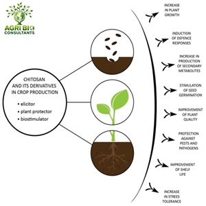 Stimulant de croissance racinaire naturel liquide pour le sol et les plantes AgriBio Consultants Modèle 2026 (Durée de conservation de 3 ans) - Product Image 3
