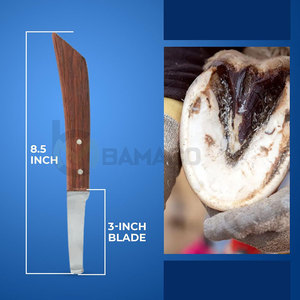 Couteau à sabot étroit en L, style animalier, dernier modèle, avec logo personnalisé imprimé, service OEM, pour commandes en gros - Product Image 4