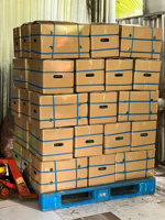 Groene Biologische Pomelo Ben Tre Vietnam Groothandel Tropisch Fruit Hoge Premium Kwaliteit Goed voor de Gezondheid Export Standaard TECHMIFOOD