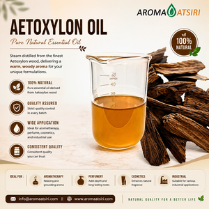 Huile essentielle d'Aetoxylon 100% pure – Arôme boisé premium pour la parfumerie et l'aromathérapie - Product Image 1